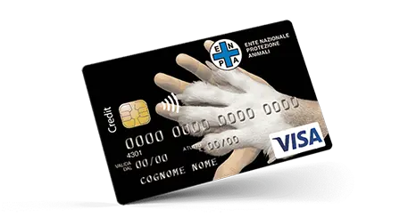 E.n.p.a card