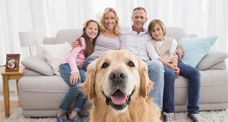 Credit Protection Insurance - CPI Recall